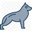 Dog Pet Animal Icon