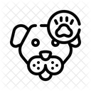 Dog  Icon