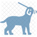 Dog Leash Pet Icon