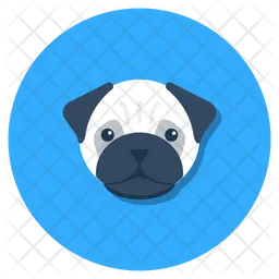 Dog  Icon