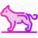 Spring Dog Pet Icon