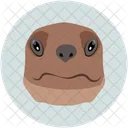 Dog Animal Face Icon