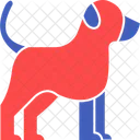 Dog Doggie Domesticated Animal Icon