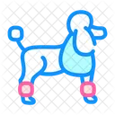 Dog Poodle Transportation Icon