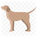 Dog Animal Wildlife Icon