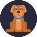 Dog Pet Care Icon