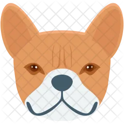 Dog  Icon