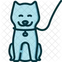Dog Animal Care Pet Care Icon