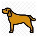 Dog Mammal Pet Icon
