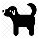 Dog Pet Mammal Icon