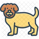Dog Puppy Doggy Icon