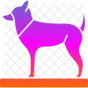 Animal Dog Foot Icon