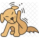 Dog Scratching Itch Icon