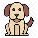 Pet Animal Puppy Icon