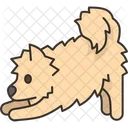 Dog Crawl Canine Icon