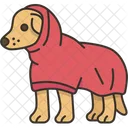 Dog Coat Rain Icon