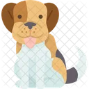 Dog Puppy Canine Icon