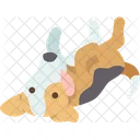 Dog Siesta Pet Icon