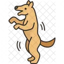 Dog Stand Up Icon