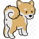Shiba Shiba Inu Japanese Dog Icône