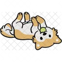 Shiba Shiba Inu Japanese Dog Icône