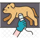 Dog Diagnosis Disease Icon