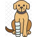 Dog Splint Fracture Icon