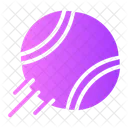 Dog Ball  Icon