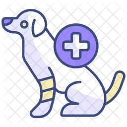 Dog bandage  Icon