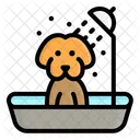 Dog Bathing  Icon