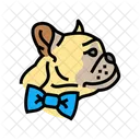 Bowtie Dog Competition Icon