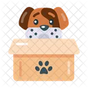 Pet Box Dog Box Puppy Box Icon