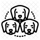 Dog Breed  Icon