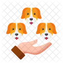 Dog Breeder  Icon