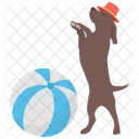 Dog Circus  Icon