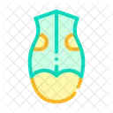 Dog Clothes  Icon