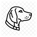 Collar Dog Competition Icon