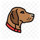 Collar Dog Competition Icon