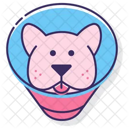 Dog Cone  Icon