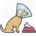 Dog Cone  Icon
