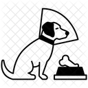 Dog Cone  Icon