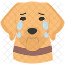 Dog Crying Weeping Emotions Icon