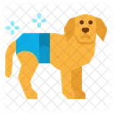 Dog Diaper  Icon