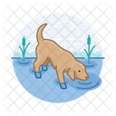 Dog Drinking Water Icon