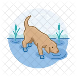 Dog Drinking Water  Icon