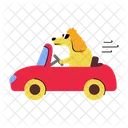 Dog Driving  Icon