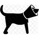 Dog E Collar  Icon