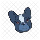 Artboard Icon