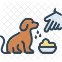 Dog Feed  Icon