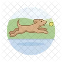 Dog Fetching Ball  Icon